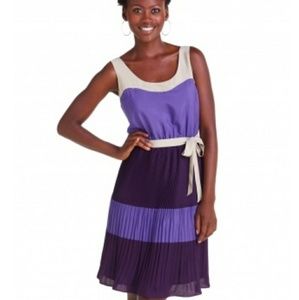 Pleated The Limited Dress